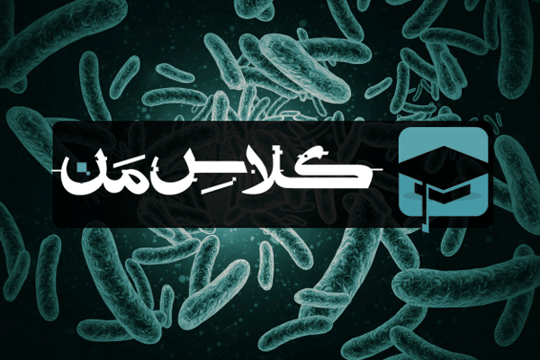 اموزش باکتری |اموزش میکروب شناسی پزشکی | جزوه باکتری شناسی 