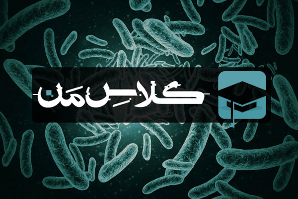 اموزش باکتری |دیواره سلولی باکتری | جزوه باکتری شناسی ( قسمت هفتم)