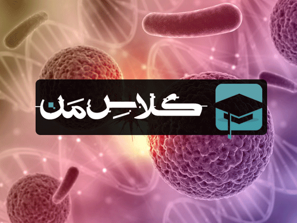 اموزش باکتری |اموزش میکروب شناسی پزشکی | جزوه باکتری شناسی ( قسمت سوم )