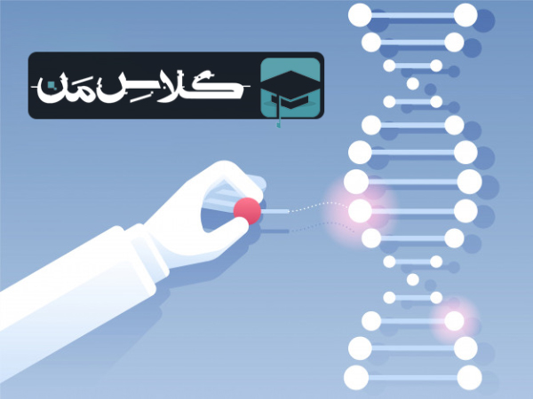 آموزش زیست شناسی فصل هفتم دوازدهم | زيست فناوري و مهندسي ژنتيك دوازدهم(بخش پنجم)