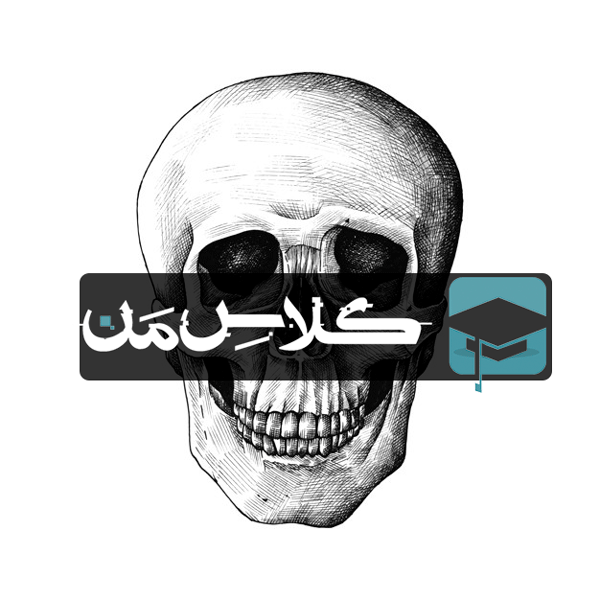 آموزش آناتومی سر و گردن : استخوان شناسی (قسمت اول)