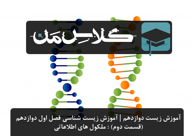 آموزش زیست دوازدهم | آموزش زیست شناسی فصل اول دوازدهم (قسمت دوم) : ملکول های اطلاعاتی