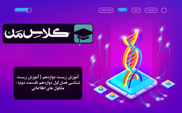 آموزش زیست دوازدهم | آموزش زیست شناسی فصل اول دوازدهم (قسمت دوم) : ملکول های اطلاعاتی