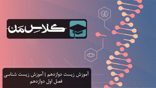 آموزش زیست دوازدهم | آموزش زیست شناسی فصل اول دوازدهم (قسمت چهارم) : ملکول های اطلاعاتی