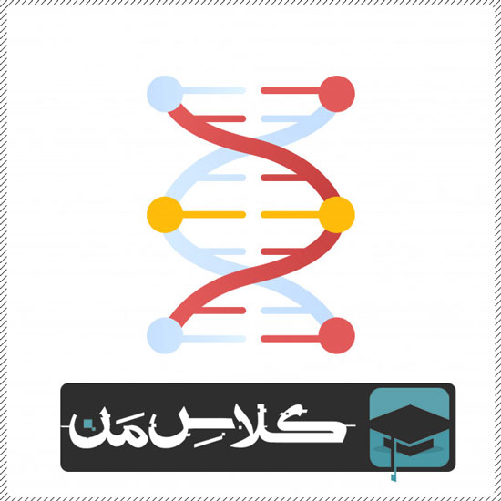 آموزش زیست دوازدهم | آموزش زیست شناسی فصل اول دوازدهم (قسمت هفتم) : ملکول های اطلاعاتی