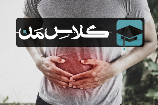 آموزش آناتومی  دستگاه گوارش : نمونه سوالات علوم پایه اناتومی دستگاه گوارش 