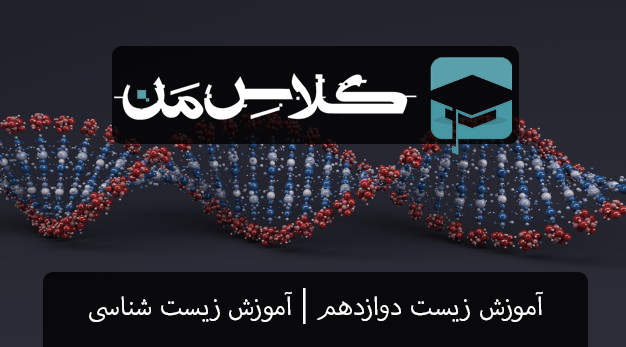 آموزش زیست دوازدهم | آموزش زیست شناسی فصل هفتم دوازدهم | زيست فناوري و مهندسي ژنتيك دوازدهم