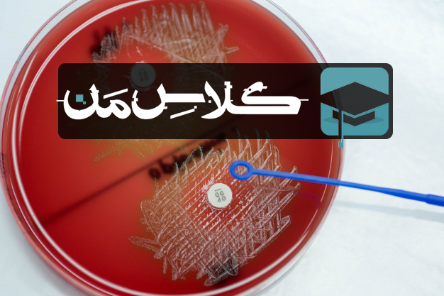 جزوه باکتری شناسی جاوتز | خلاصه باکتری شناسی جاوتز |اموزش باکتری شناسی 