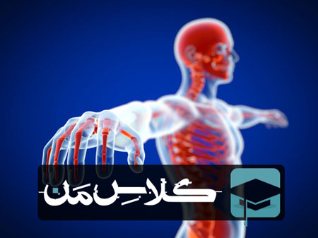 ثبت نام آنلاین کلاس زیست در تهران | ثبت نام کلاس زیست تهران 