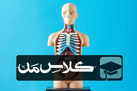 ثبت نام آنلاین کلاس زیست در تهران | ثبت نام کلاس زیست تهران 