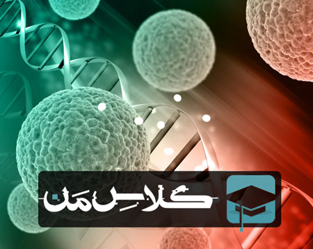 ثبت نام آنلاین کلاس زیست در شیراز | ثبت نام کلاس زیست شیراز 