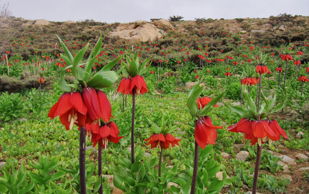 آموزش خبرنگاران پایگاه خبری دهاقان بیدار